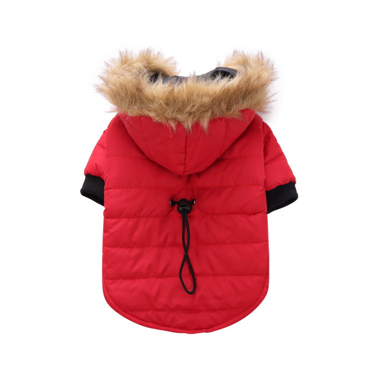 Winter clothing for pets