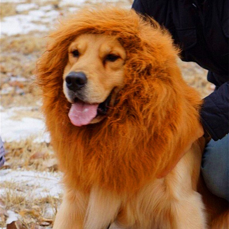 Lion Mane Wig for Large Dogs