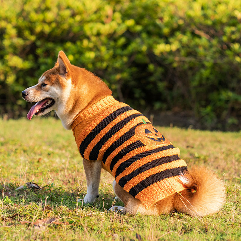 Halloween Pet Costume Teddy Warm Leisure Sweater